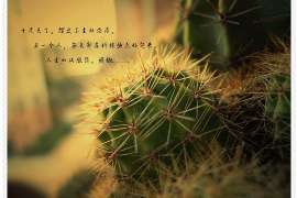 广州出轨挽回处理攻略:重建信任的关键步骤 广州出轨挽回处理攻略:重建信任的关键步骤